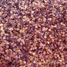 Wholesale Low Price High Survival Rate Outdoor Red Goji Berry Seedling